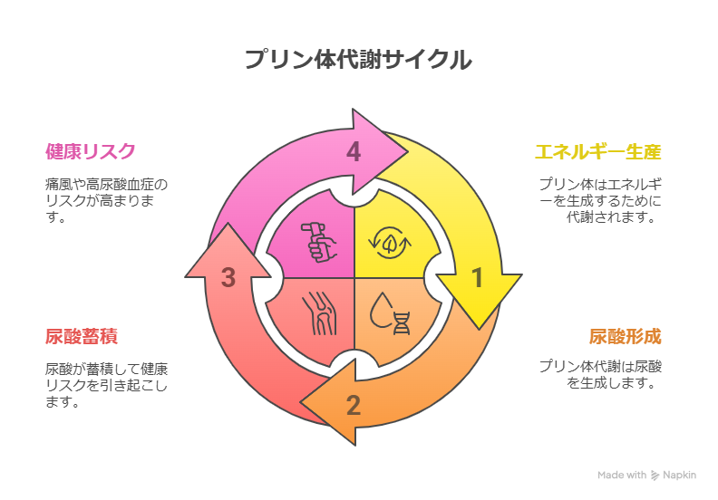 クラフトビールにプリン体って多いの？健康との関係を解説