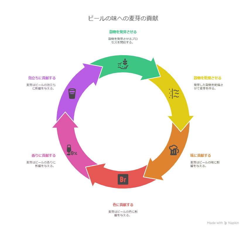 麦芽の種類とビールの味の関係とは？クラフトビールの奥深さを解説
